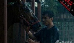 电影杀戒在线观看,揭秘暗黑复仇之路