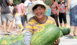 禹城网红吃瓜事件,揭秘网络舆论的风暴与真相