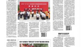 高平市新闻爆料电话,倾听民声，守护城市脉搏