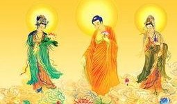 阿弥陀佛爆料视频大全,爆料视频大全深度解析